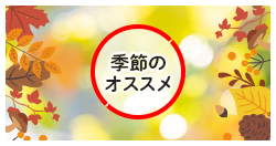 おすすめ