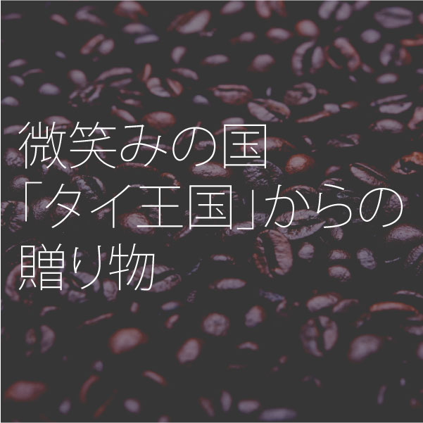 ドクターリセラ